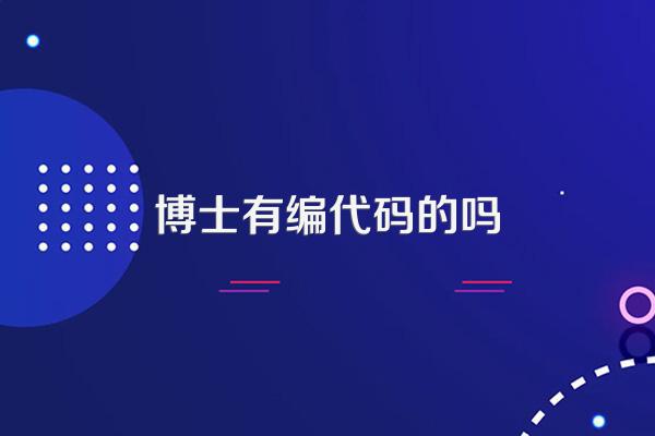 博士有编代码的吗