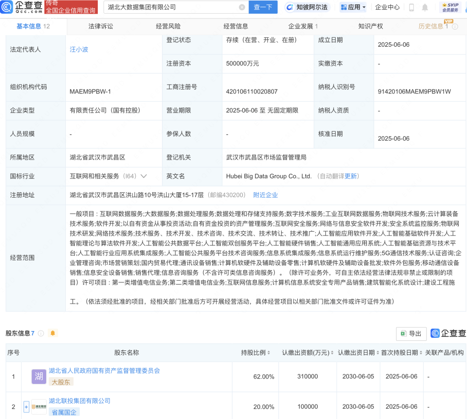湖北大数据集团成立,注册资本50亿